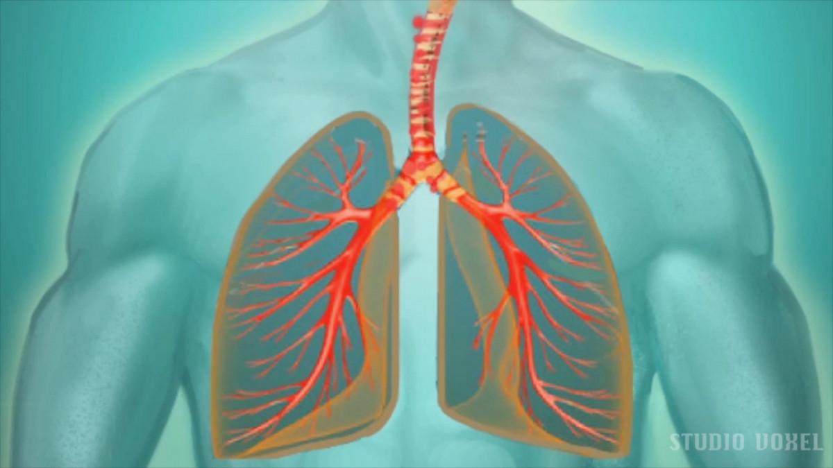 Haze Heroes for History Channel – Documentary Graphics